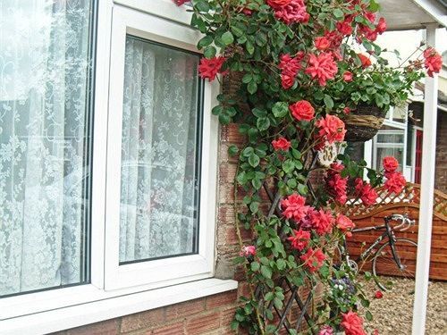Rosa'S Bed And Breakfast CBG Exterior foto